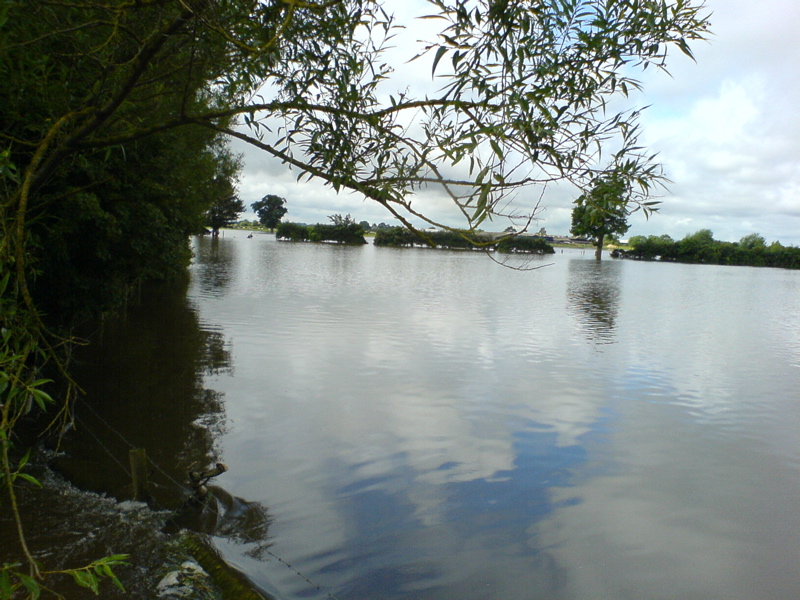 Flooded field near Lechlade, July 2007
