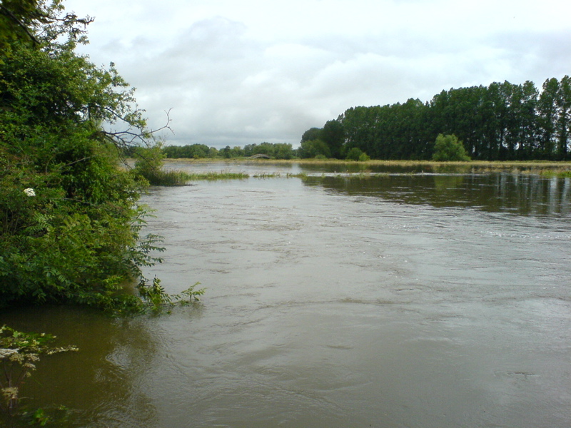 The Thames in flood at Buscot, July 2007