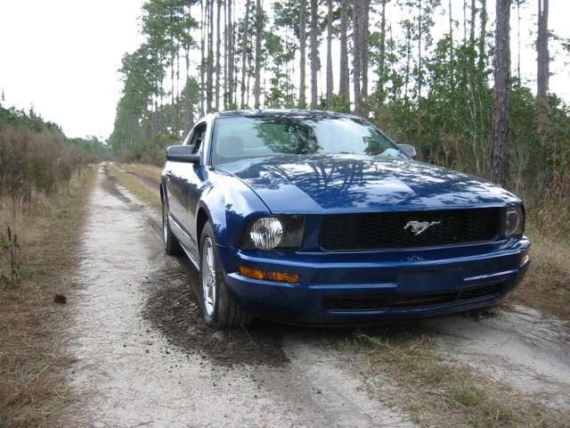Mustang in Hazzard setting
